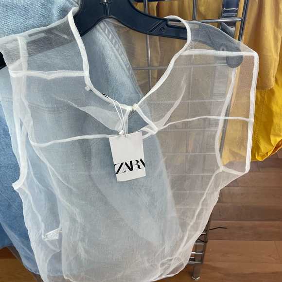 Brand New Zara Organza - Picture 2 of 4
